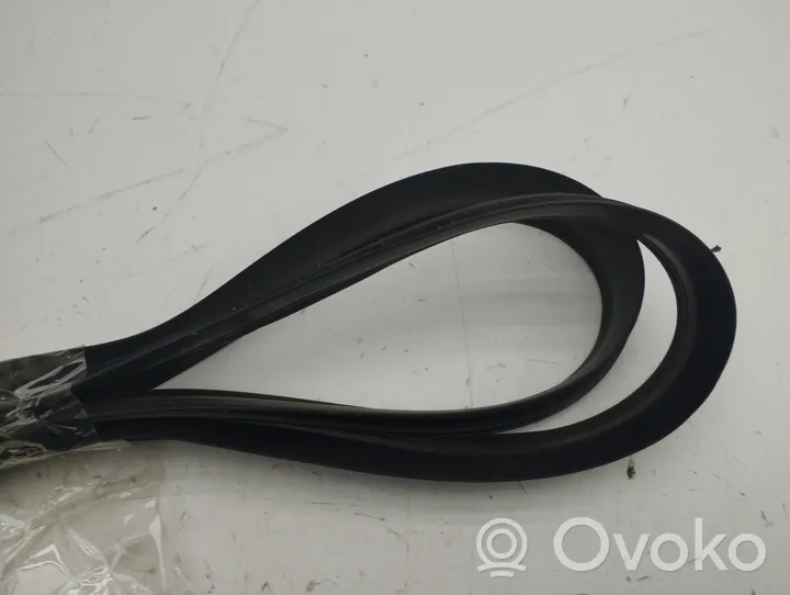 BMW i3 Front door rubber seal 