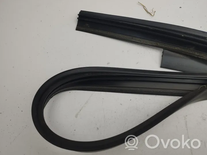 BMW i3 Front door rubber seal 