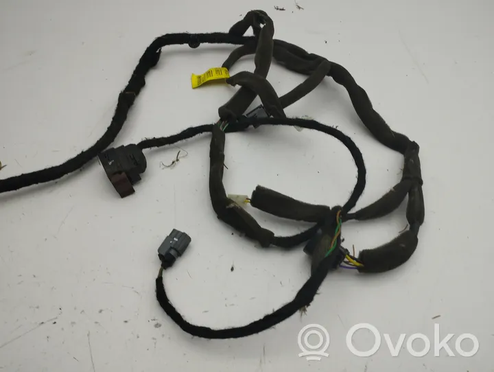 Opel Antara Cablaggio porta anteriore 95491036