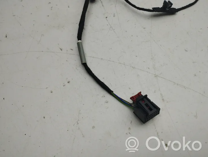 Audi A5 Rear door wiring loom 