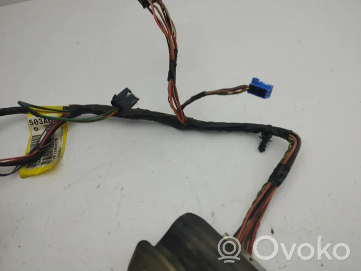 Chrysler Town & Country V Front door wiring loom 16238CJ