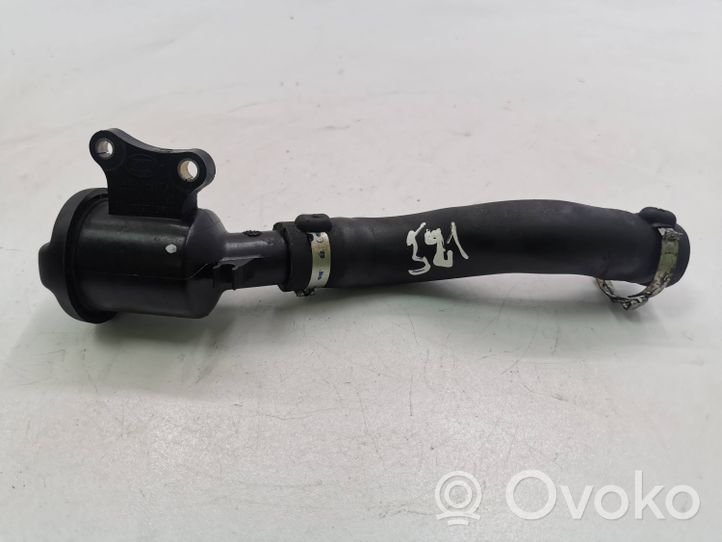 Citroen C-Crosser Tappo carico dell’olio 9685025880