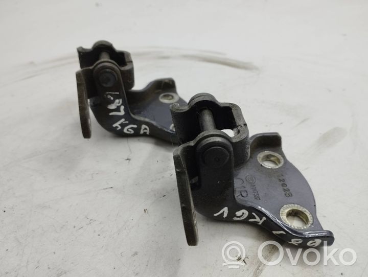 Opel Antara Set di cerniere portiera posteriore 12G28