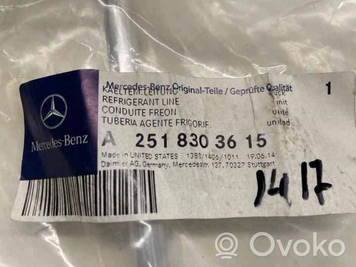 Mercedes-Benz R W251 Ilmastointilaitteen putki (A/C) A2518303615