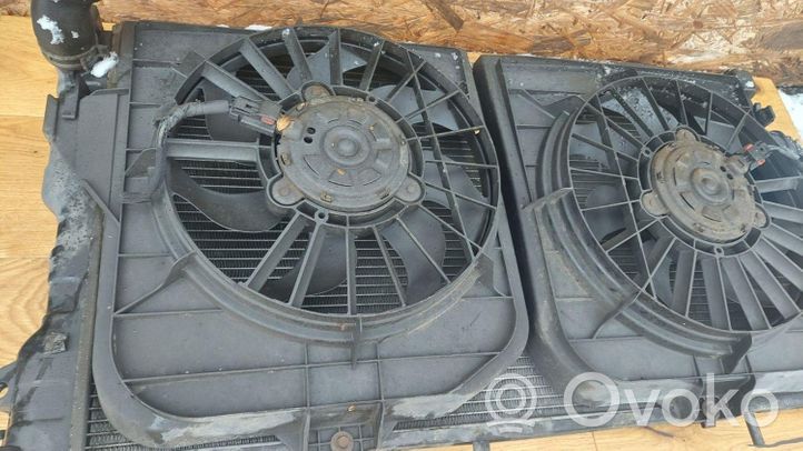 Dodge Caravan Radiatore di raffreddamento 