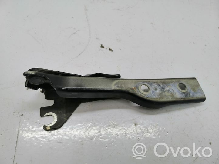 Volkswagen Polo V 6R Cerniere del vano motore/cofano 6R0823301A