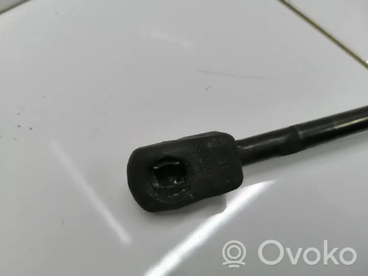 Volkswagen Eos Vérin, capot-moteur 1Q0823359