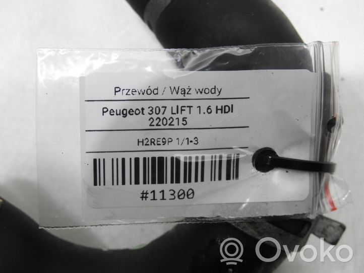 Peugeot 307 Przewód / Wąż chłodnicy 