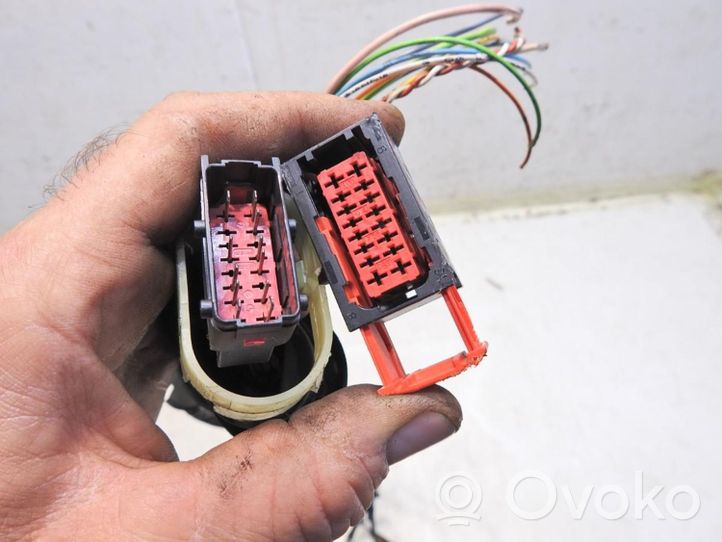 Citroen C5 Cableado de puerta delantera 9650503080