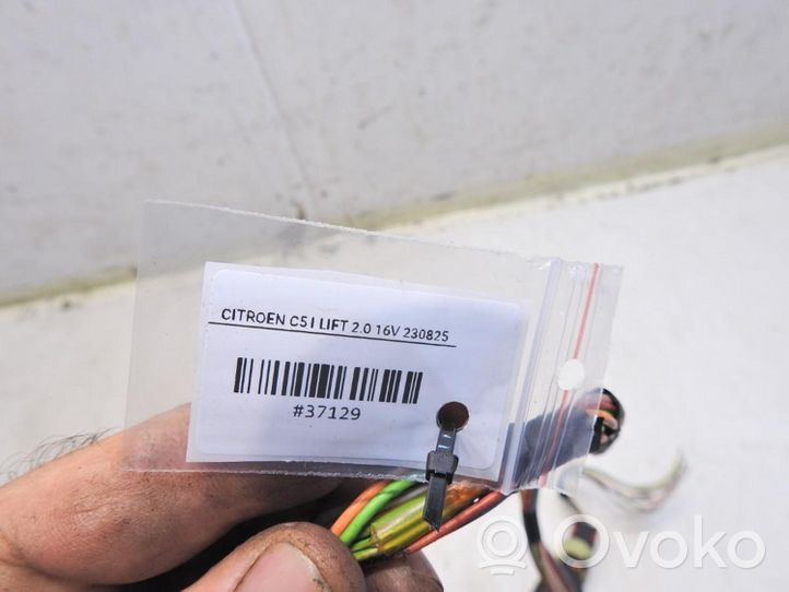 Citroen C5 Cableado de puerta delantera 9650503080