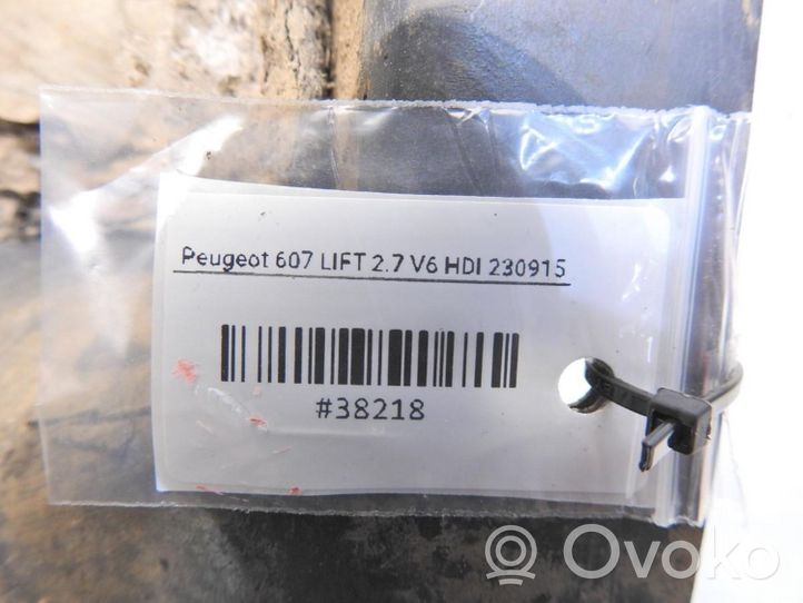 Peugeot 607 Variklio dangtis (apdaila) 9651772580