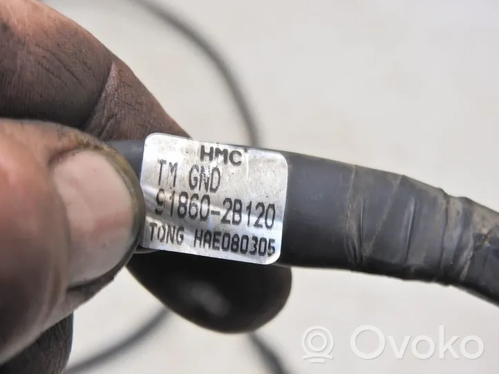 Hyundai Santa Fe Negative earth cable (battery) 91860-2B120