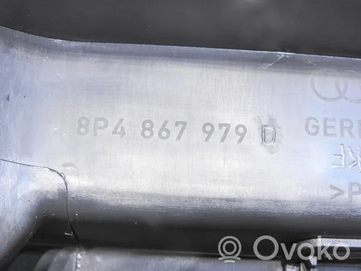 Audi A3 S3 A3 Sportback 8P Rivestimento superiore del portellone posteriore/bagagliaio 8P4867979D