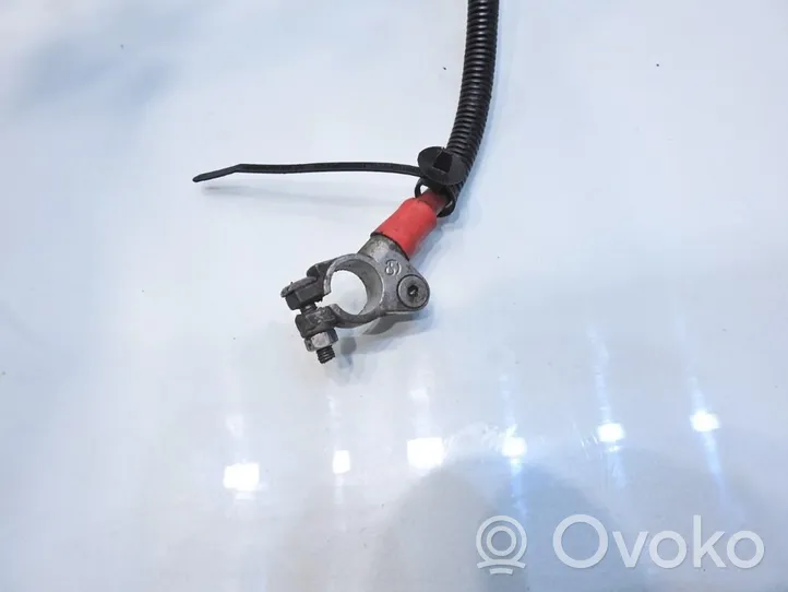 Audi A4 S4 B7 8E 8H Cavo positivo (batteria) 