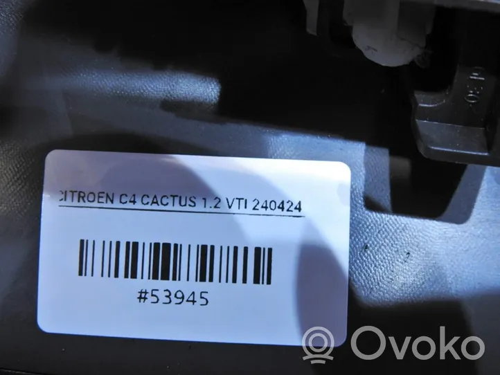 Citroen C4 Cactus Garniture de panneau carte de porte avant 98011901ZD