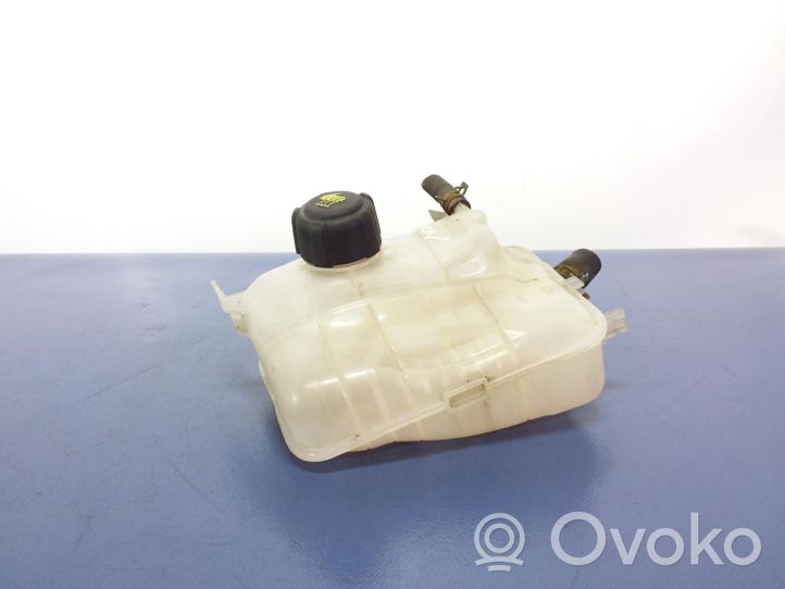 Renault Megane III Vase d'expansion / réservoir de liquide de refroidissement 217100005R