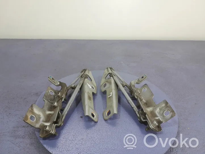 Opel Insignia A Cerniere del vano motore/cofano 13248766