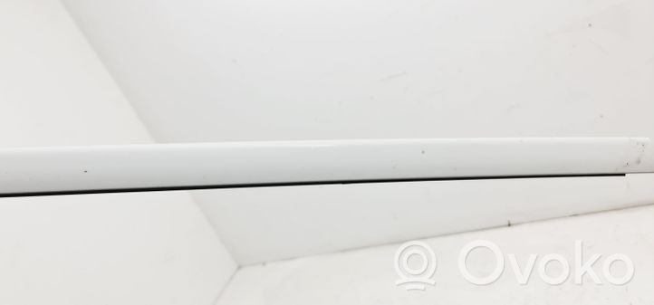 BMW 7 E65 E66 Roof trim bar molding cover 