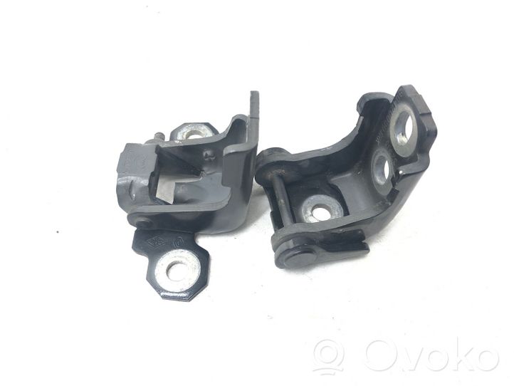 Renault Clio IV Kit de charnières de porte avant 804200003RK