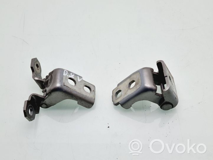 Renault Megane III Rear door hinge set 