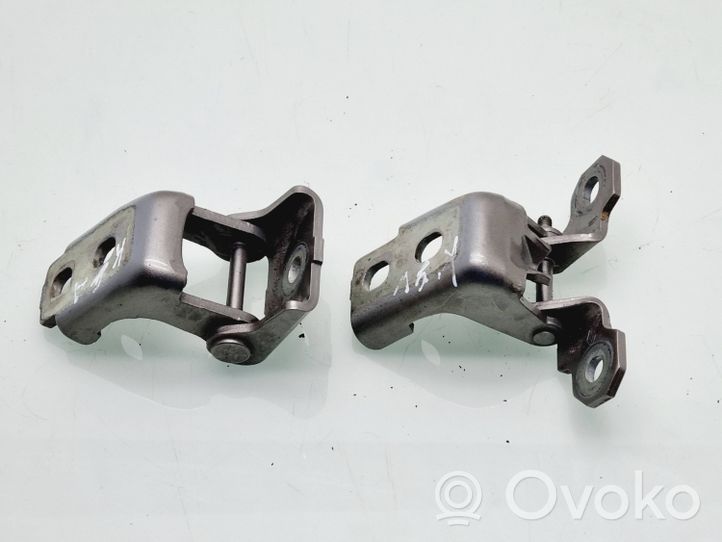 Renault Megane III Rear door hinge set 