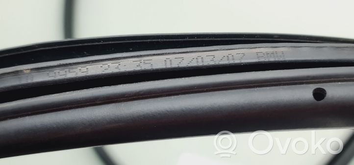 BMW X5 E70 Guarnizione in gomma portiera posteriore (sulla carrozzeria) 