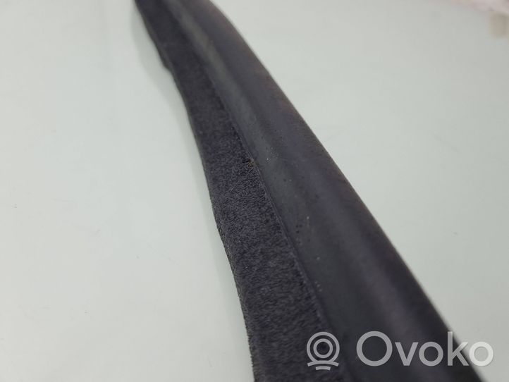 Renault Megane III Rear door rubber seal (on body) 