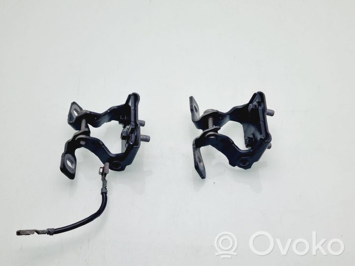 BMW 1 F20 F21 Set di cerniere portiera di carico 7239876