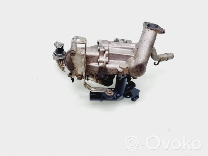 Citroen Berlingo Refroidisseur de vanne EGR 50563908