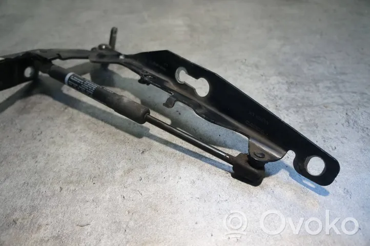 Volvo V60 Cerniere del vano motore/cofano 30799178