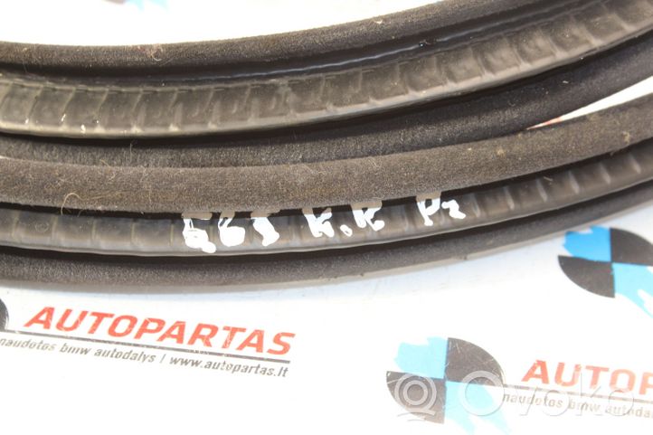 BMW 7 E65 E66 Front door rubber seal 51727044