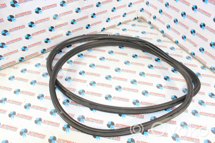 BMW 3 F30 F35 F31 Front door rubber seal 7258312