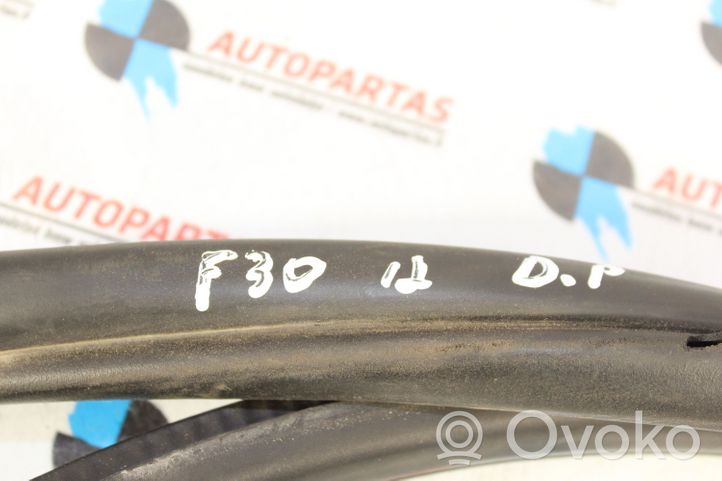 BMW 3 F30 F35 F31 Front door rubber seal 7258312