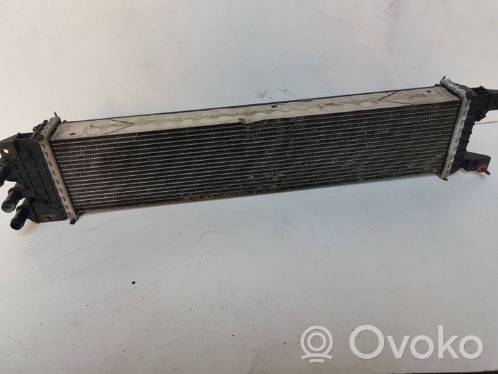 Ford Mondeo MK V Kit Radiateur DG938D048AC