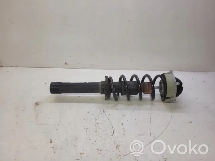 Audi A4 S4 B9 Front shock absorber with coil spring 8W0413031AA