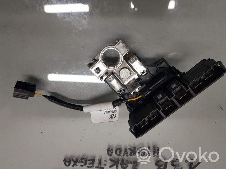 Renault Arkana Cavo positivo (batteria) 2D0049093P