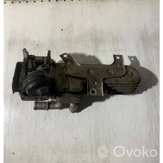 Volkswagen Golf Plus EGR-venttiili/lauhdutin 038131513AD