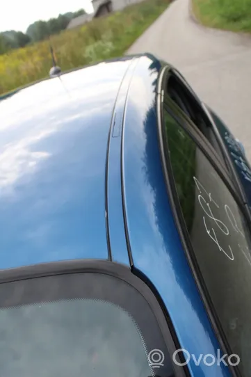 BMW M5 Roof trim bar molding cover 