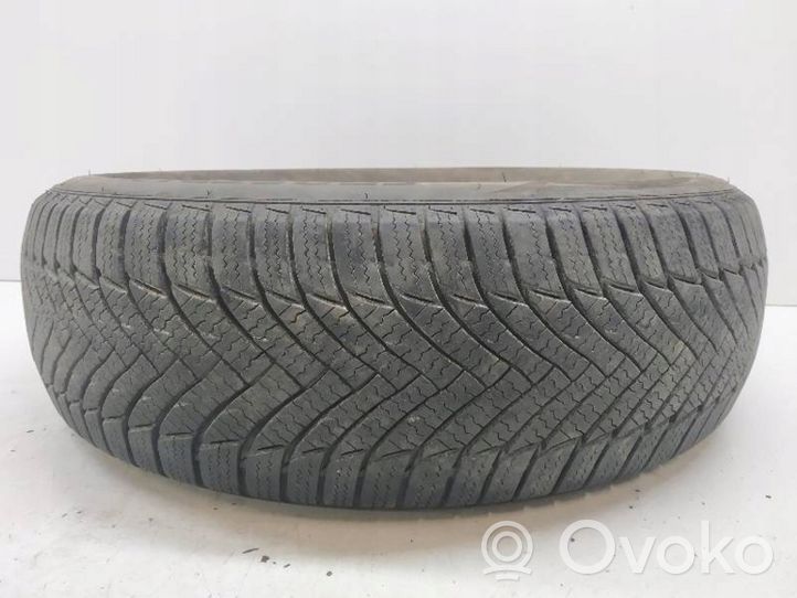 Fiat Punto (188) R14 winter tire MINERVA