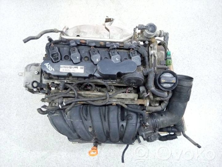 Volkswagen Jetta V Motor BGQ