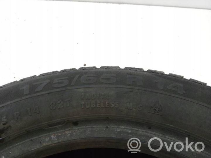 Fiat Punto (188) R14 winter tire CONTINENTAL