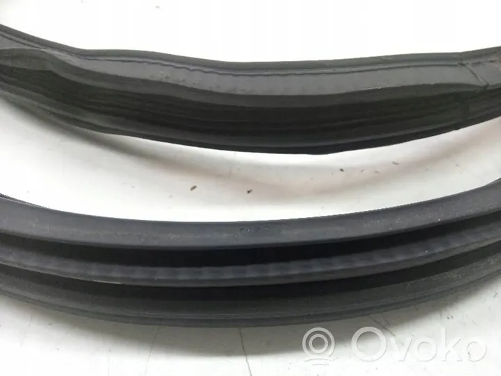 Citroen C3 Rubber seal front door (on door) 9813059680