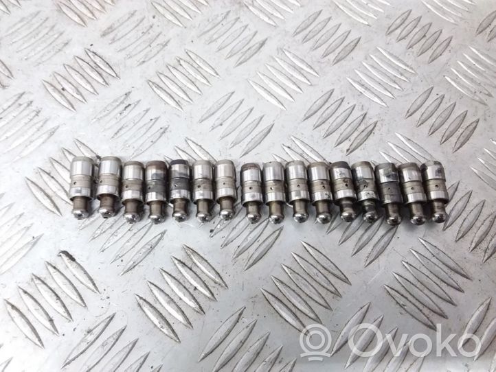 Volkswagen PASSAT B7 Tappets lifter 