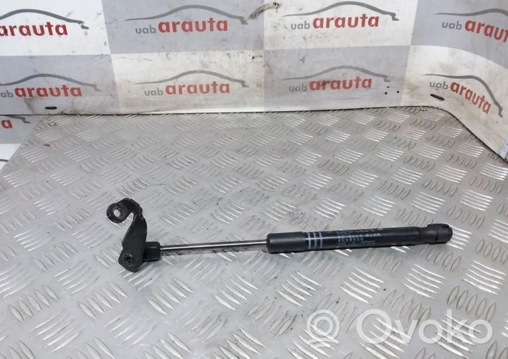 BMW M5 Front bonnet/hood damper/strut 51237309117