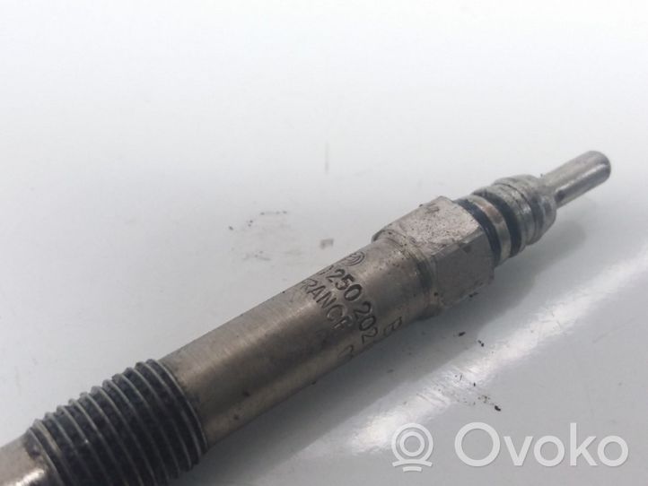 Opel Vectra C Glow plug 0250202036