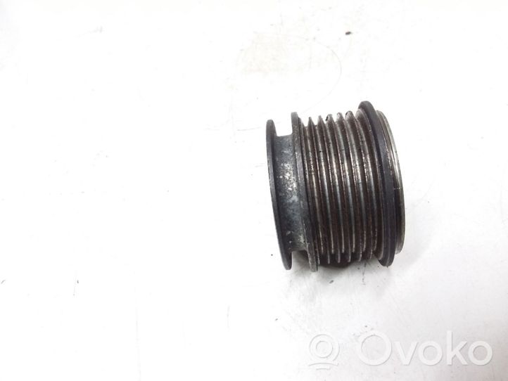 Audi A3 S3 8P Puleggia dell’alternatore F55347002