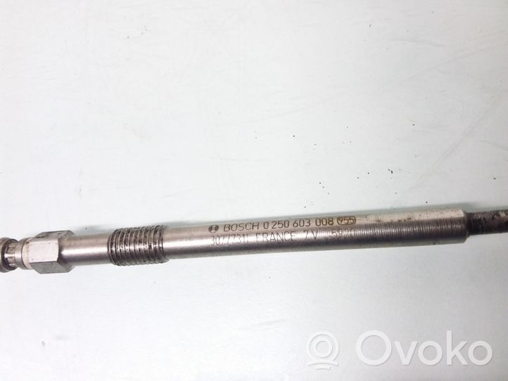 Volvo V60 Glow plug 0250603008