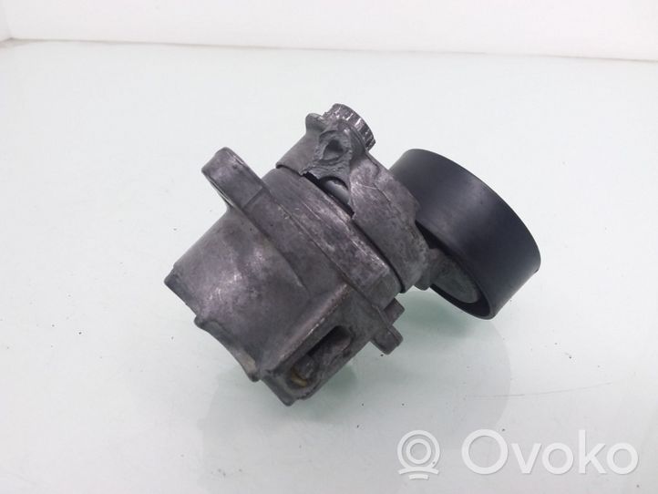 Mercedes-Benz E W211 Napinacz paska wielorowkowego / Alternatora 950151