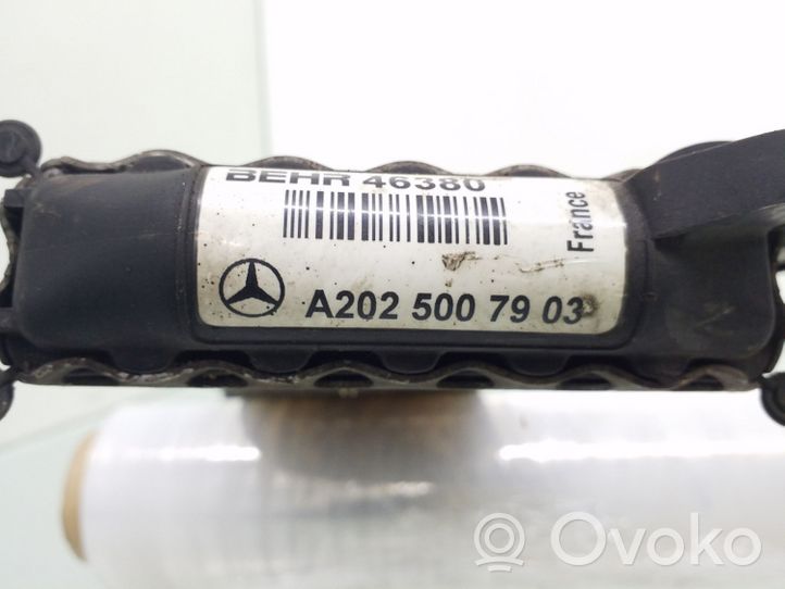 Mercedes-Benz C W202 Refroidisseur de carburant, radiateur A2025007903
