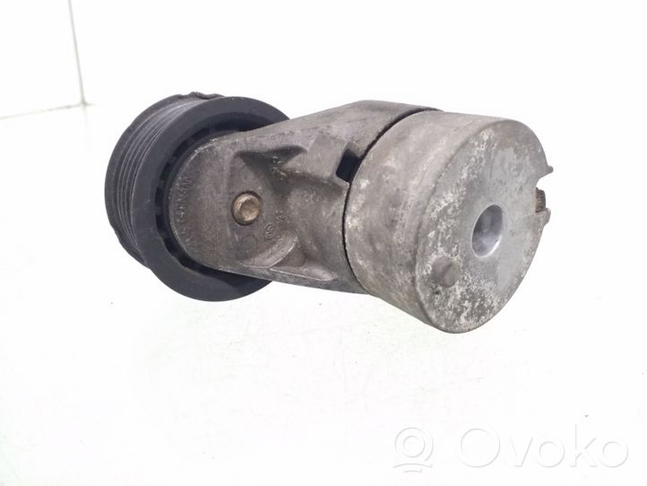 Audi A3 S3 A3 Sportback 8P Napinacz paska wielorowkowego / Alternatora 022145299C